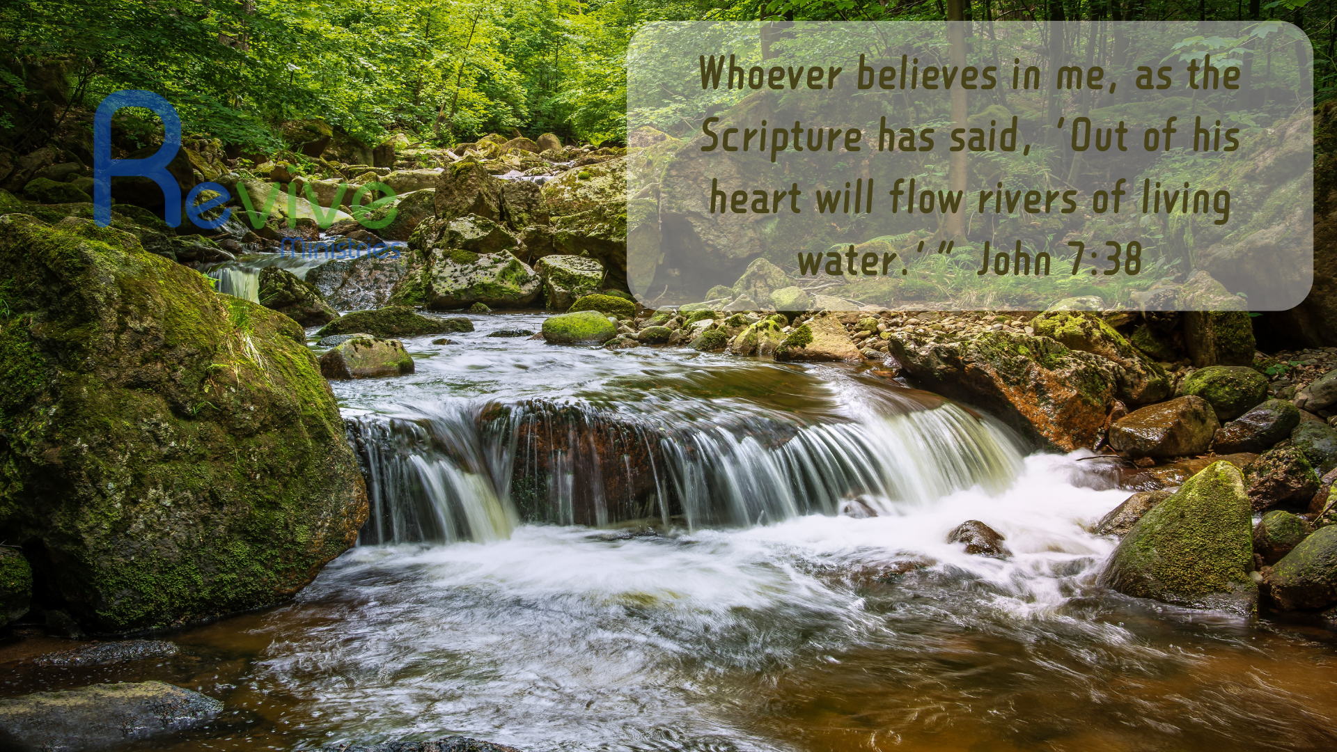 10 Scriptural Memes (Lot MEDP-01)