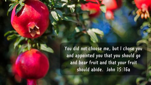 10 Scriptural Memes (Lot MEDP-01)