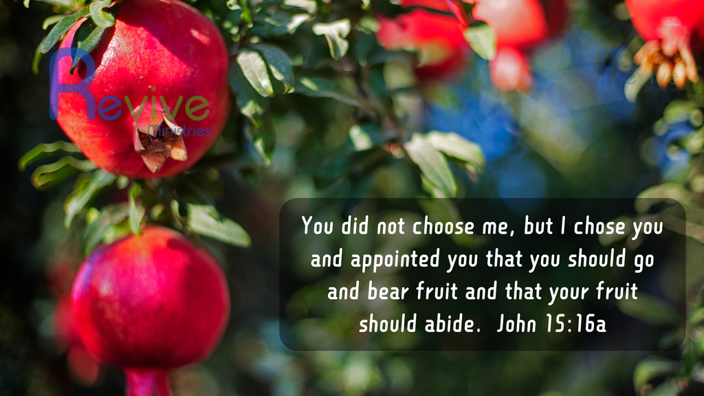 10 Scriptural Memes (Lot MEDP-01)