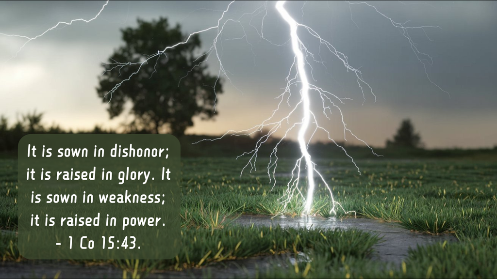 10 Scriptural Memes (Lot MEDP-01)