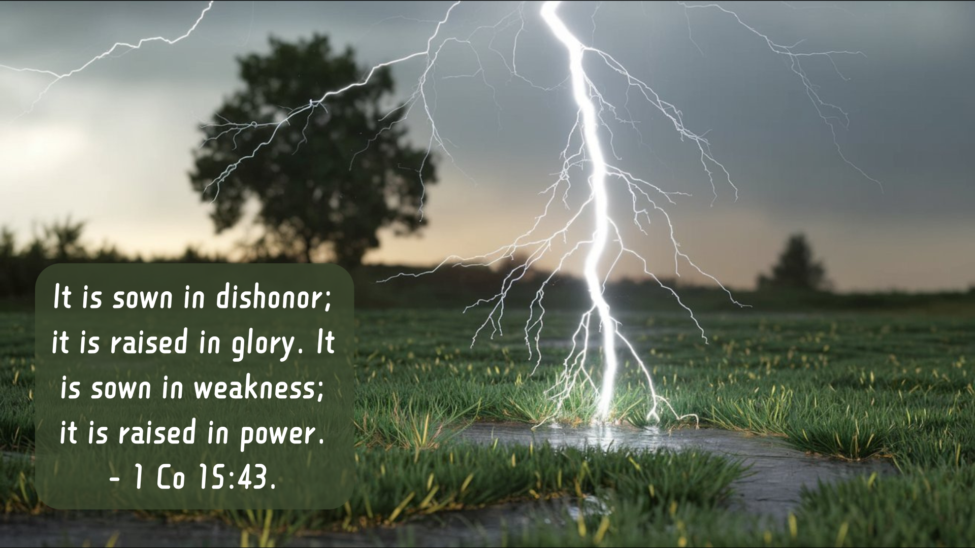 10 Scriptural Memes (Lot MEDP-01)