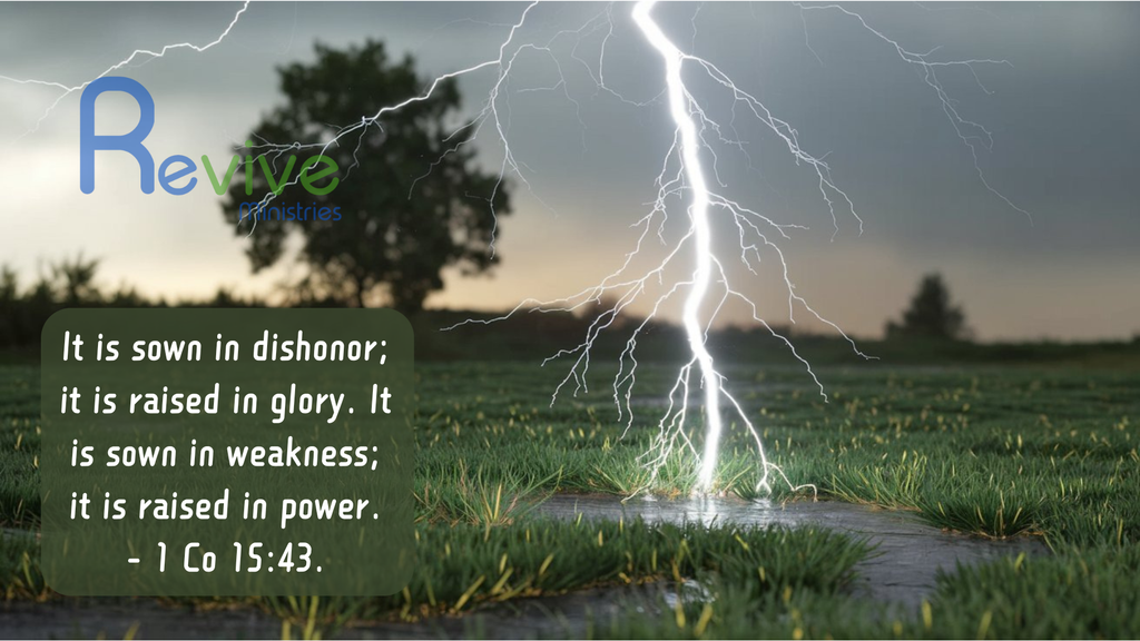 10 Scriptural Memes (Lot MEDP-01)