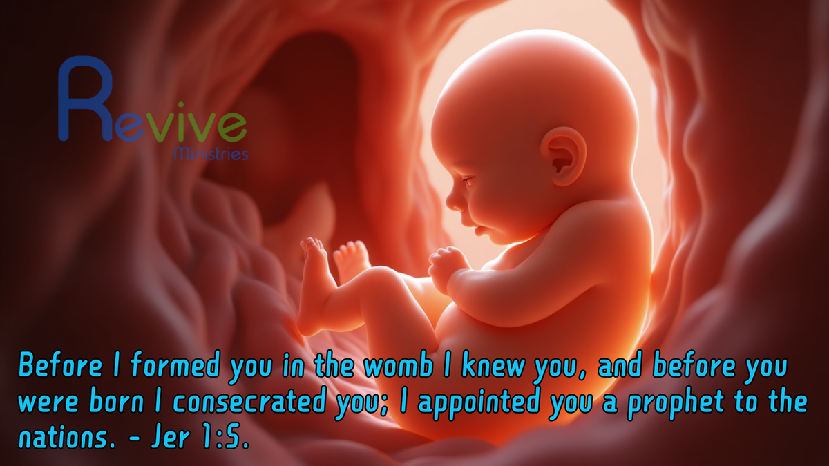 10 Scriptural Memes (Lot MEDP-02)