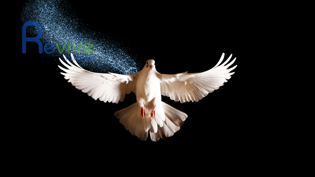 10 Sermon PowerPoint Backgrounds (Lot SMDP-01)